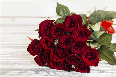 玫瑰的品种,红玫瑰有几个品种 - 花百科