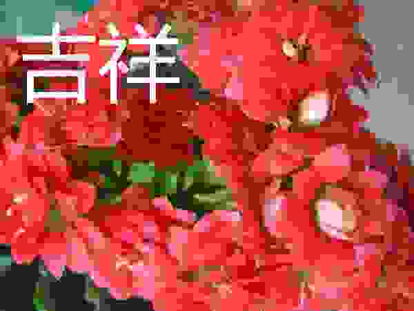 吉祥