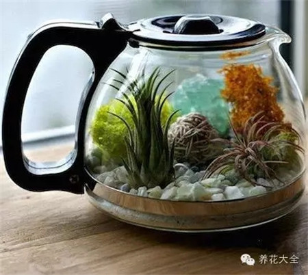 茶壶花器