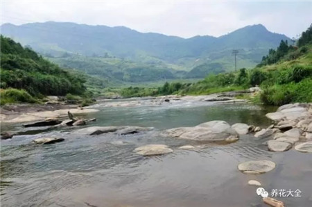 河水、湖水