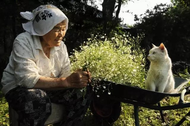 奶奶采来了一把满天星， 她开心的像个少女。 在夕阳下，我们静静对坐， 就像心意相通的老友。