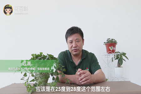 应该是在25度到28度这个范围左右