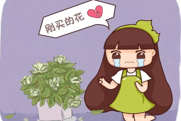 入秋别买这5种花,回家3天花苞全掉,再便宜都亏!