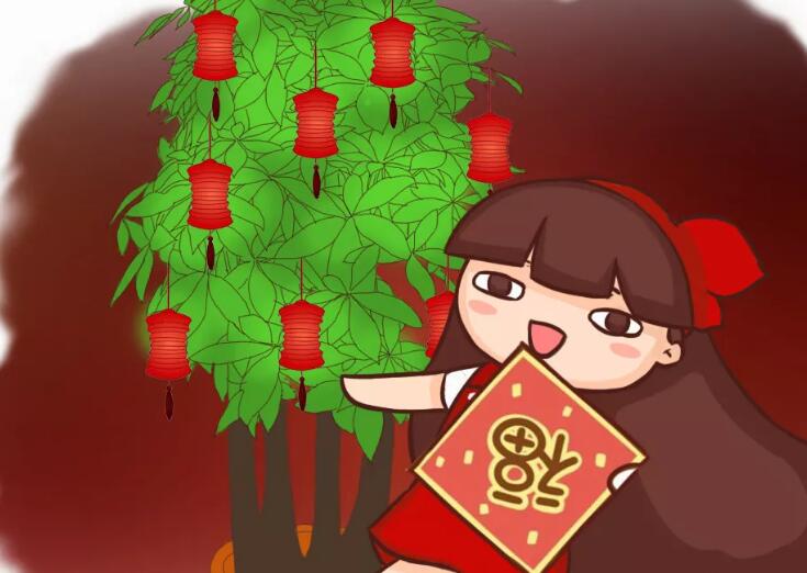 过年给花塞点钱,福气增加100倍,红红火火迎新春！