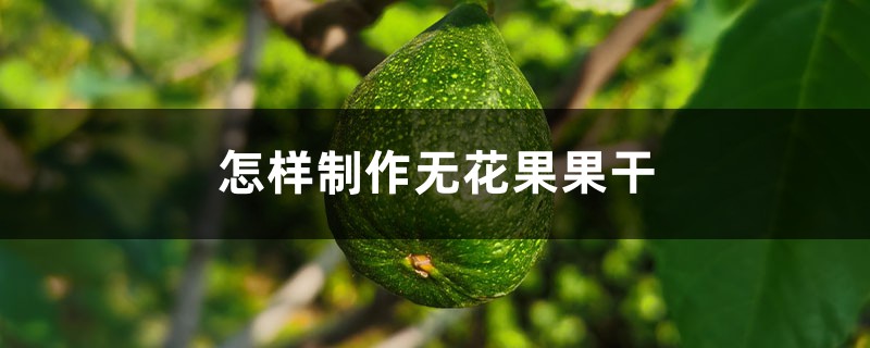 怎样制作无花果果干